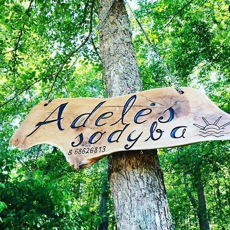 Adeles Sodyba Sturmai Bagian luar foto