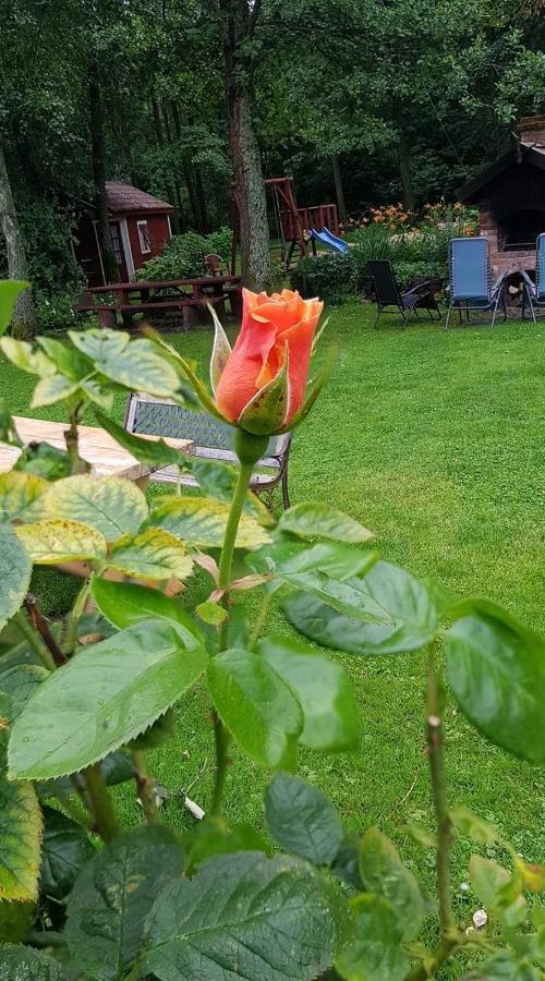 Adeles Sodyba Sturmai Bagian luar foto