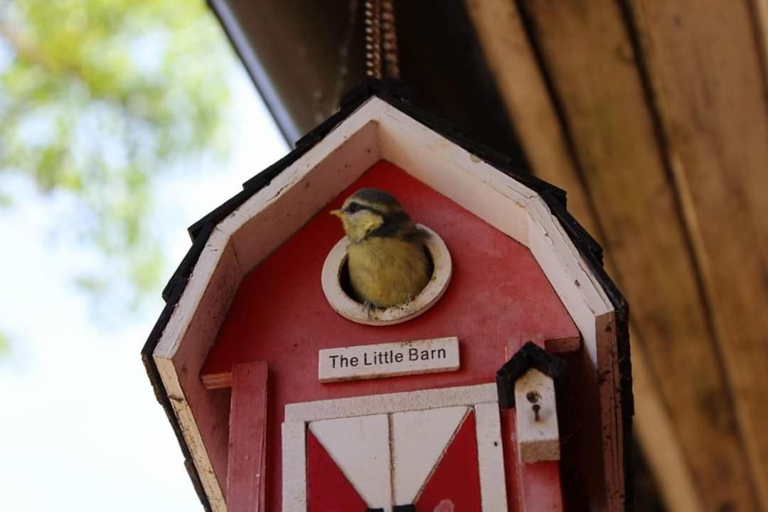 Adeles Sodyba Sturmai Bagian luar foto