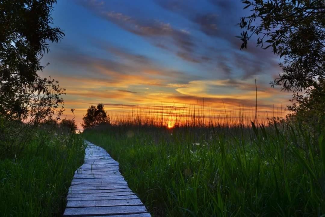 Adeles Sodyba Sturmai Bagian luar foto